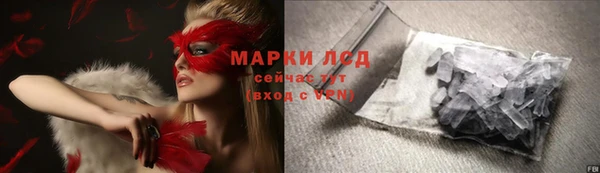 apvp Магадан