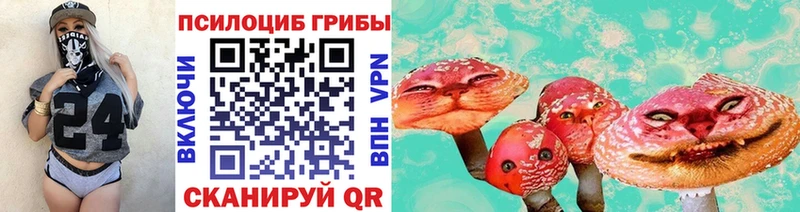 Псилоцибиновые грибы прущие грибы  Новоульяновск 